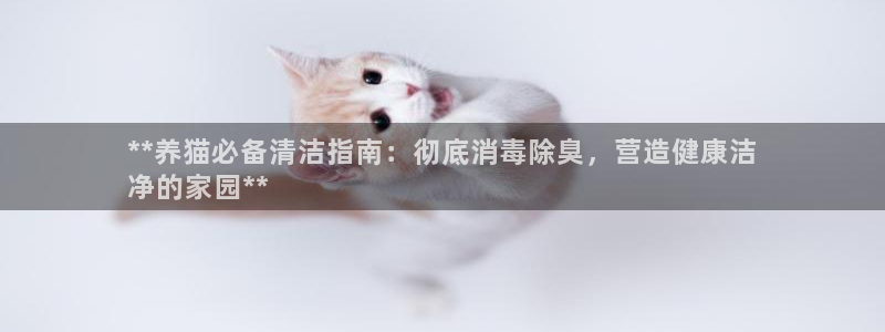 尊龙负面新闻：**养猫必备清洁指南：彻底消毒除臭，营造健