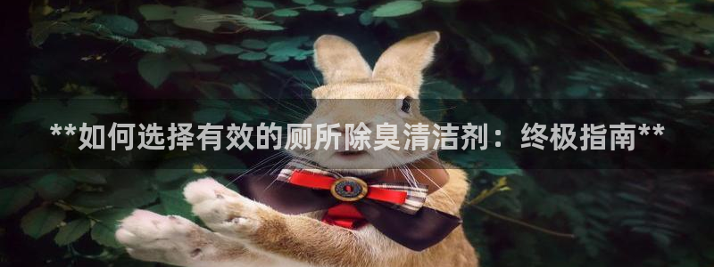 尊龙凯时人生就博：**如何选择有效的厕所除臭清洁剂：终极